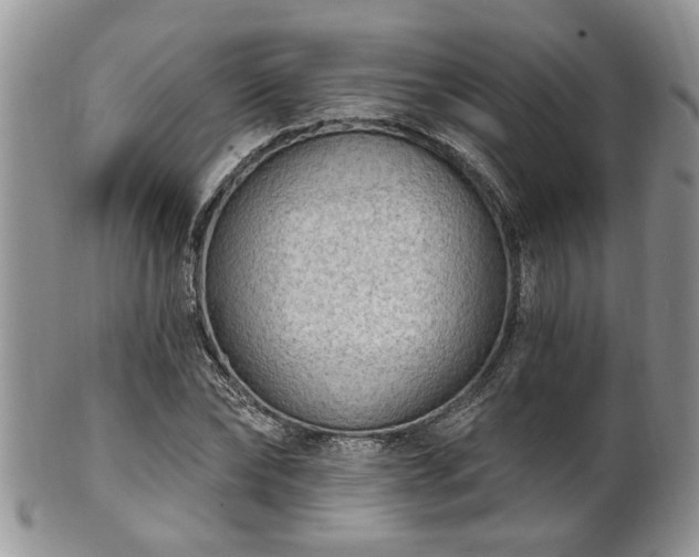 X0000101970878200807251209