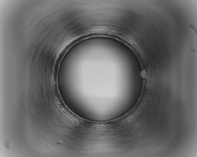 X0000101970880200807251209