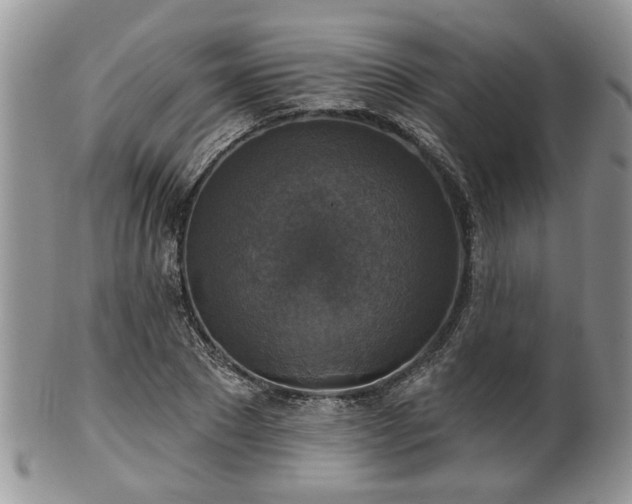 X0000101970881200807251209