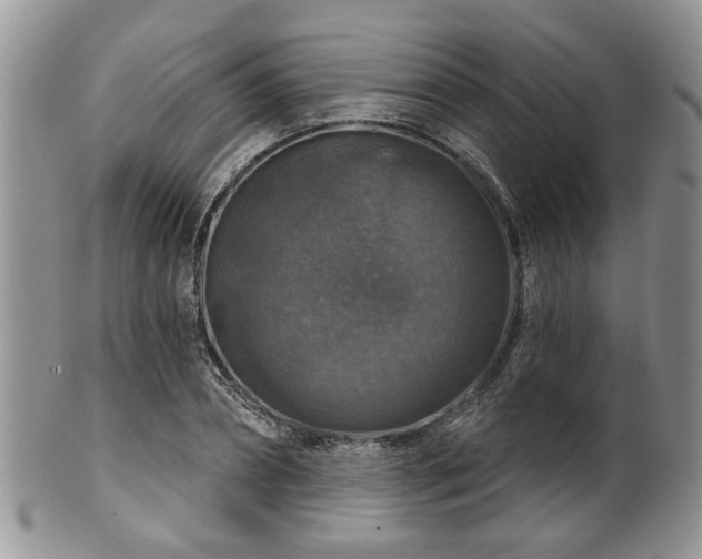 X0000101970882200807251209