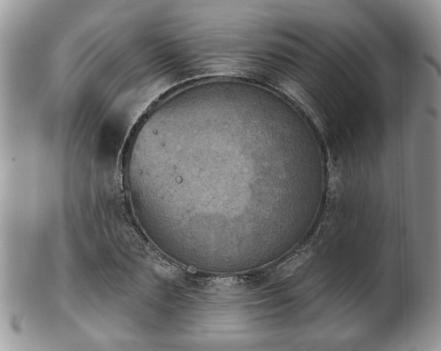 X0000101970883200807251209