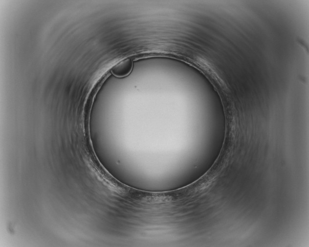 X0000101970884200807251209
