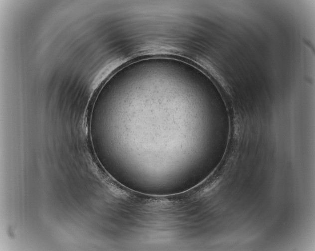 X0000101970885200807251209