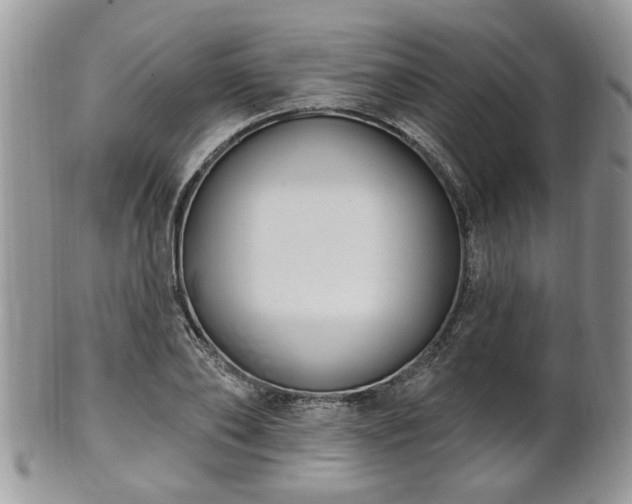 X0000101970886200807251209