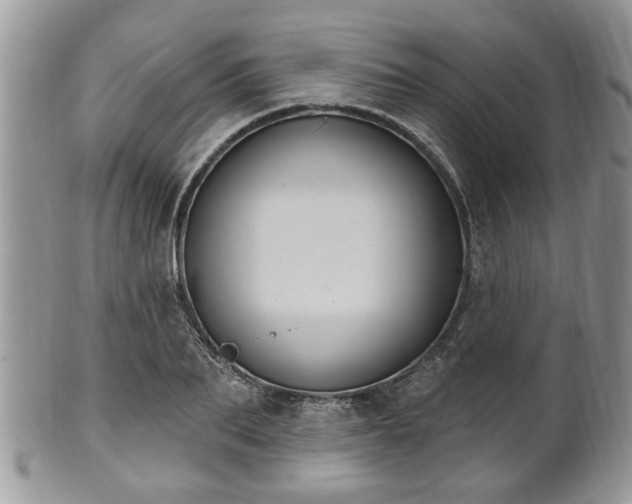 X0000101970887200807251209
