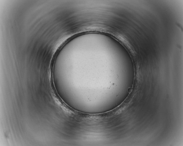 X0000101970888200807251209