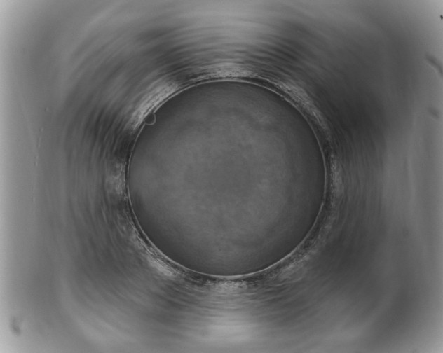 X0000101970889200807251209