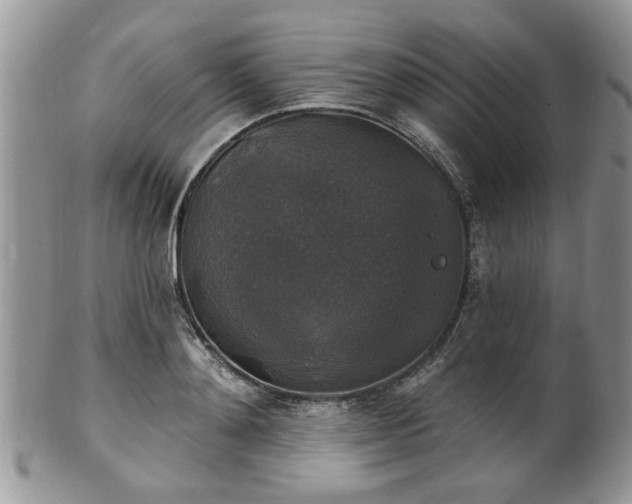X0000101970892200807251208