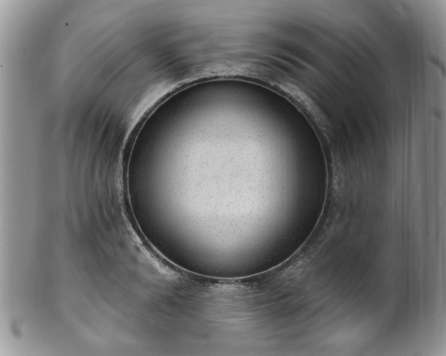 X0000101970894200807251208