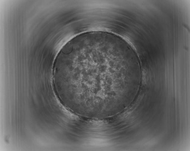 X0000101970895200807251208