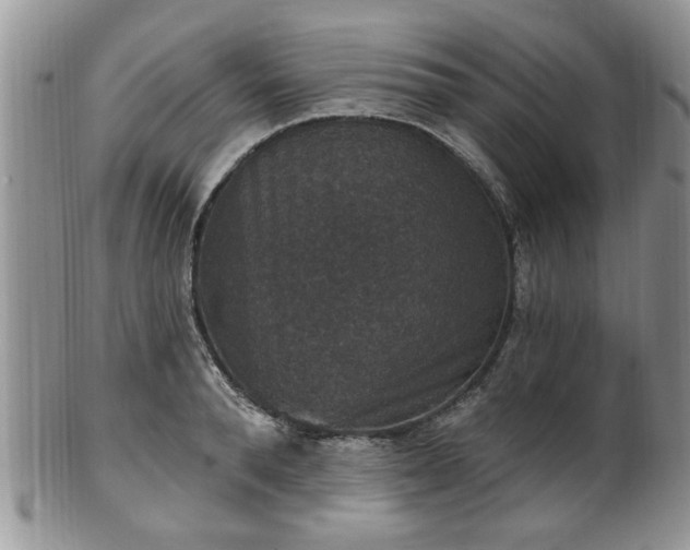 X0000101970896200807251208
