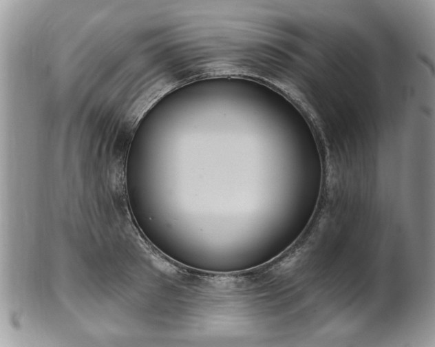 X0000101970897200807251208
