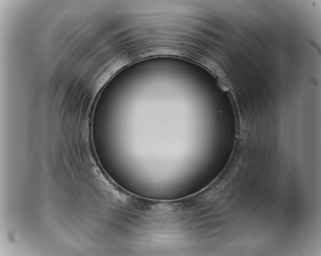 X0000101970898200807251208