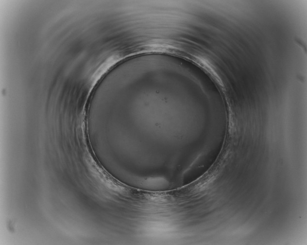 X0000101970899200807251208