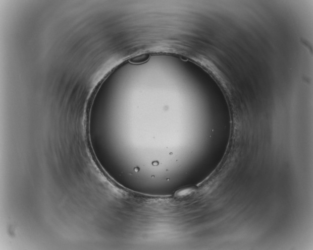 X0000101970902200807251208