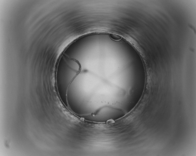 X0000101970904200807251208