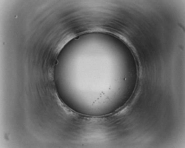 X0000101970905200807251208