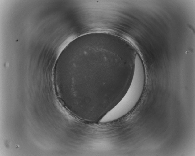 X0000101970907200807251208