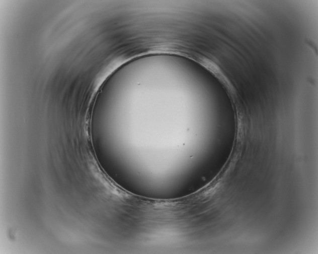 X0000101970908200807251208