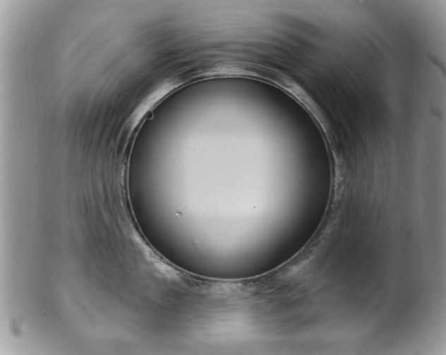 X0000101970909200807251208