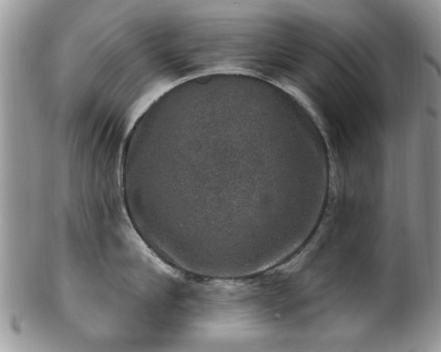 X0000101970910200807251208