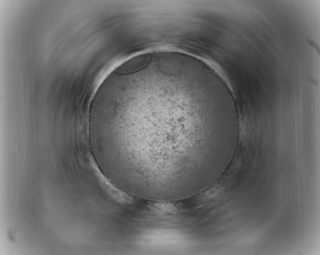 X0000101970911200807251208