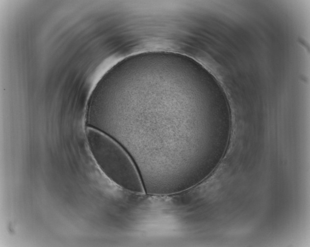 X0000101970912200807251208