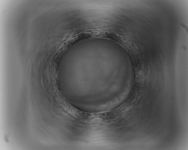 X0000101970913200807251208
