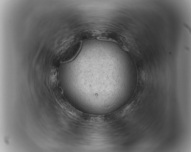 X0000101970914200807251208