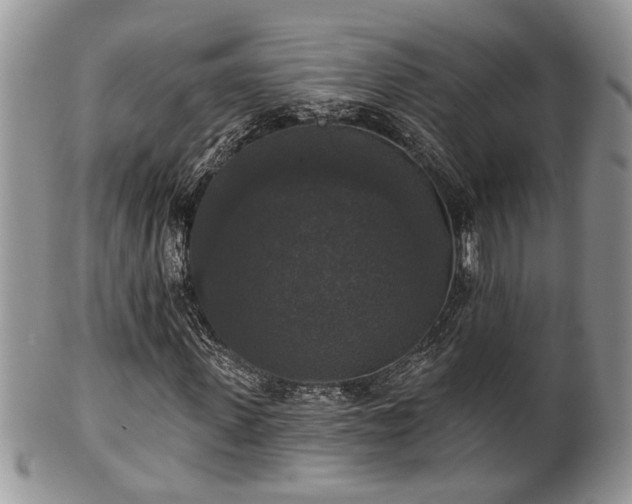 X0000101970915200807251208