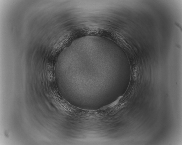 X0000101970916200807251208