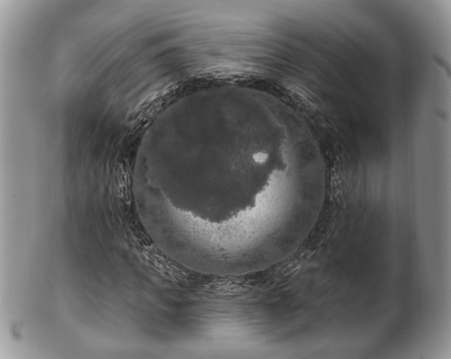 X0000101970917200807251208