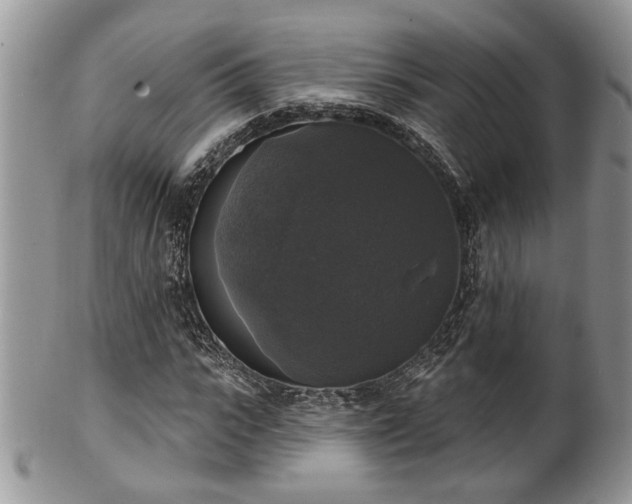X0000101970919200807251208