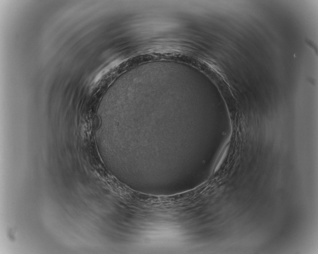 X0000101970920200807251208