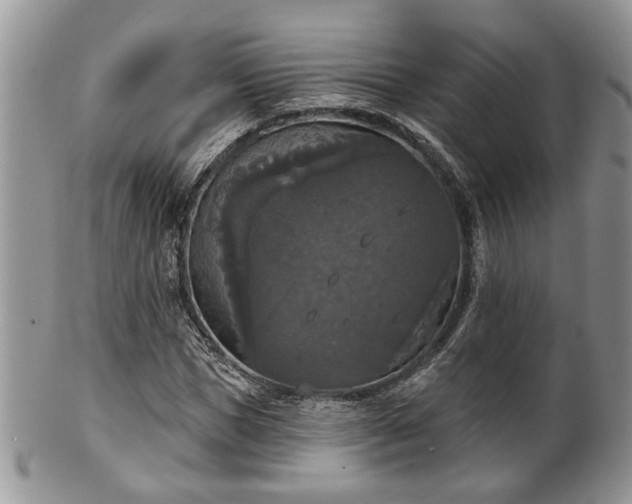X0000101970921200807251208