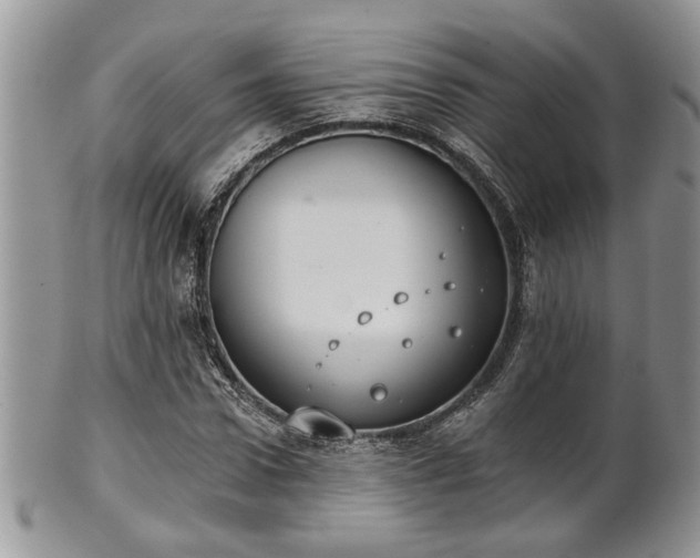 X0000101970922200807251208