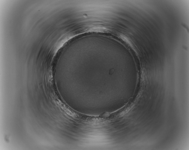 X0000101970923200807251208