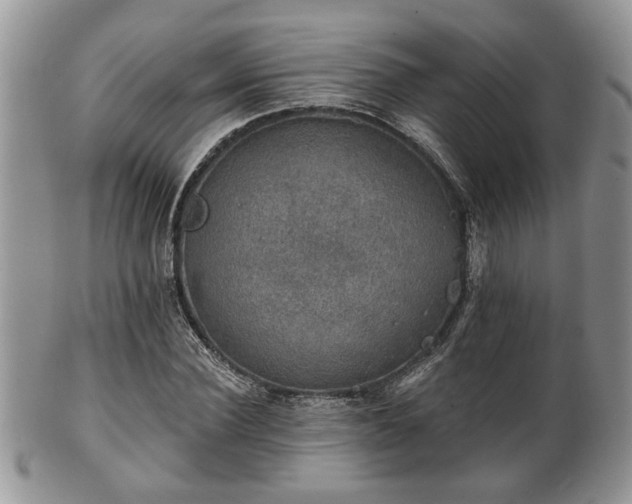 X0000101970924200807251208