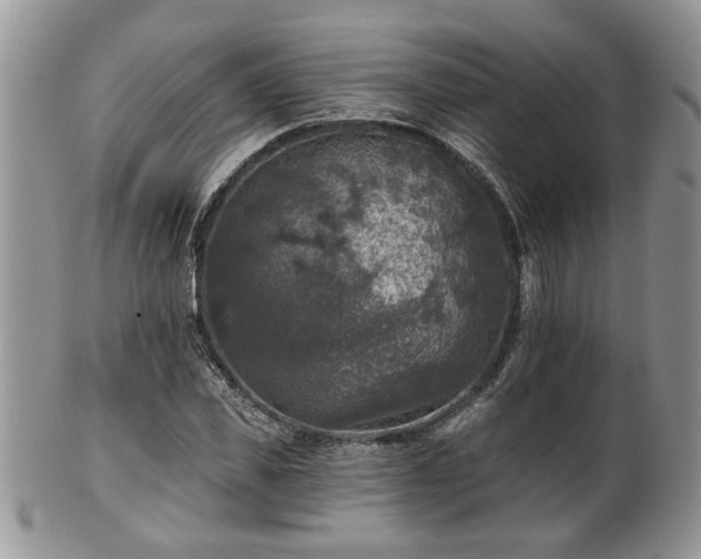 X0000101970925200807251208