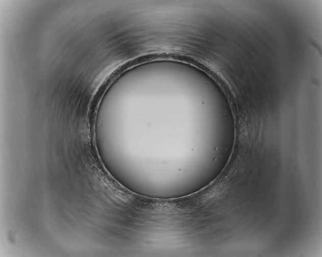 X0000101970927200807251208