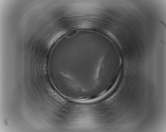 X0000101970930200807251208