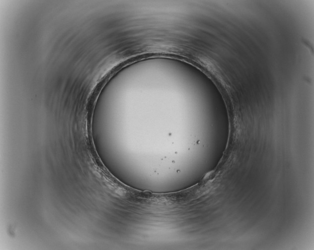 X0000101970931200807251208