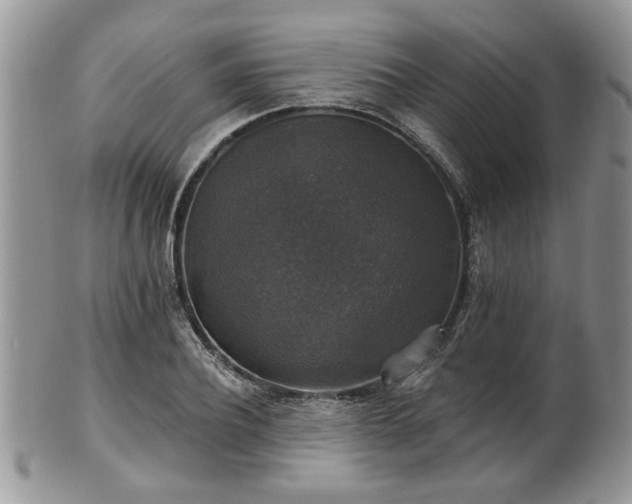 X0000101970932200807251208