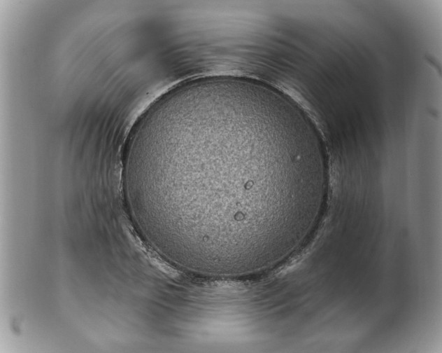 X0000101970933200807251208