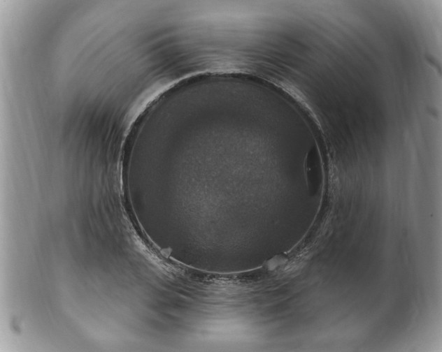 X0000101970935200807251208