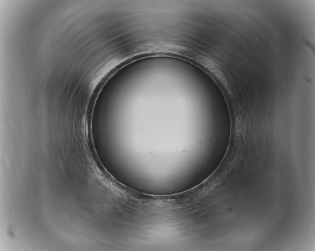 X0000101970936200807251208