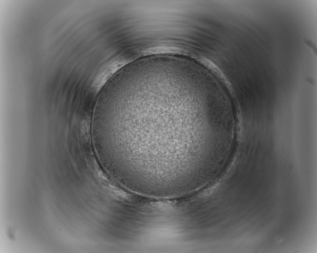 X0000101970937200807251208