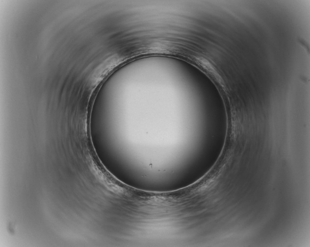 X0000101970938200807251208