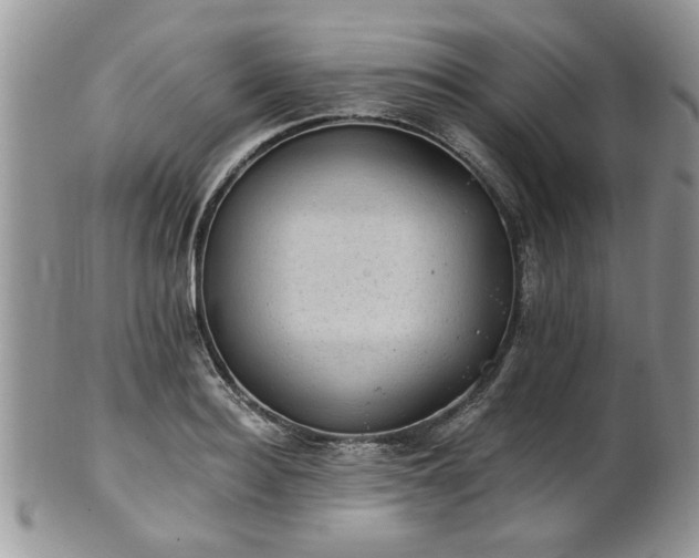 X0000101970940200807251208