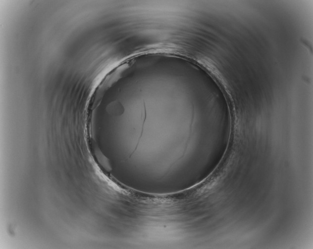 X0000101970941200807251208